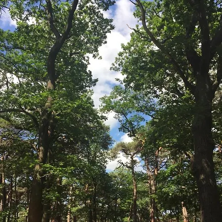 Cosy 3 Whg Incl Grosser Wohnkueche, Smart Tv, Wlan, Eutelsat & Astra Satelliten Tv, Viele Parkplaetze Vorhanden, Langzeitmiete بيت للعطل Floersheim am Main