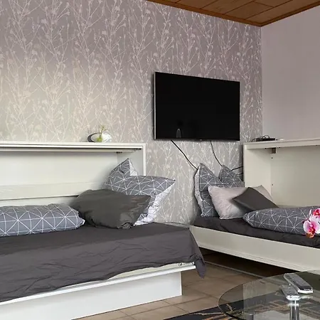 Cosy 3 Whg Incl Grosser Wohnkueche, Smart Tv, Wlan, Eutelsat & Astra Satelliten Tv, Viele Parkplaetze Vorhanden, Langzeitmiete Flörsheim am Main