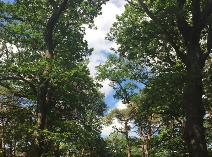 Cosy 3 Whg Incl Grosser Wohnkueche, Smart Tv, Wlan, Eutelsat & Astra Satelliten Tv, Viele Parkplaetze Vorhanden, Langzeitmiete Holiday home Floersheim am Main